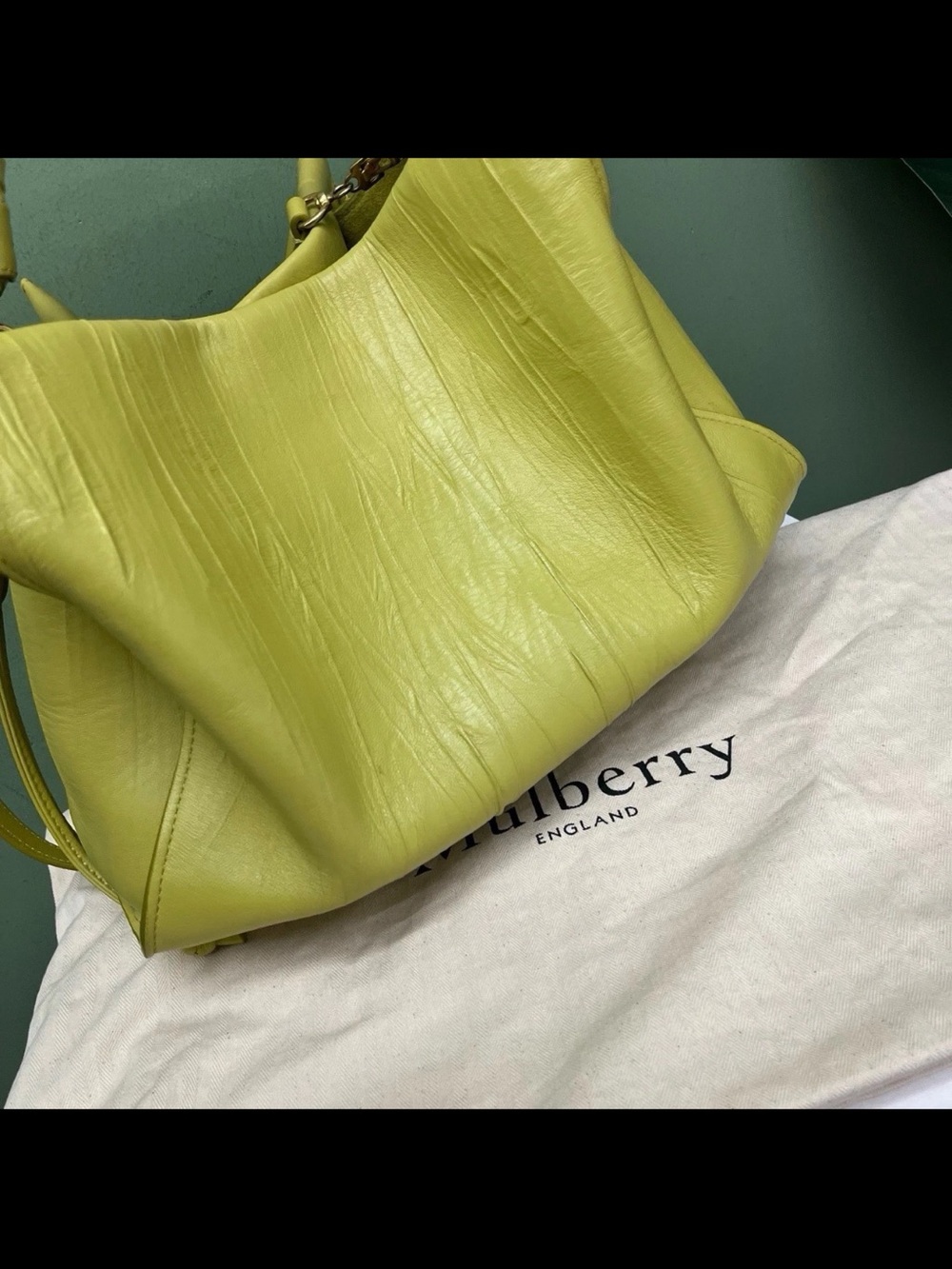 Mulberry Braided-Handle Shoulder Bag in Lime Green - Picture 14 of 16